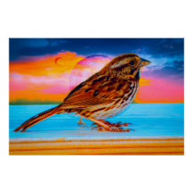 サンセットメロディ