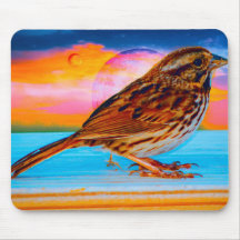 サンセットメロディ