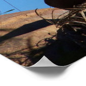 サンセットライオン ポスター (角)