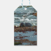 サンセットライトハーバーシールIアットサンディエゴ ギフトタグ (正面)