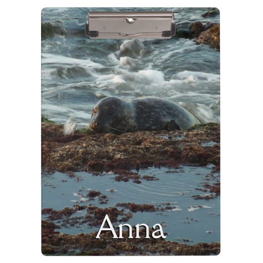 サンセットライトハーバーシールIアットサンディエゴ クリップボード (正面)