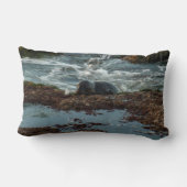 サンセットライトハーバーシールIアットサンディエゴ ランバークッション (裏面)