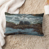 サンセットライトハーバーシールIアットサンディエゴ ランバークッション (ブランケット)