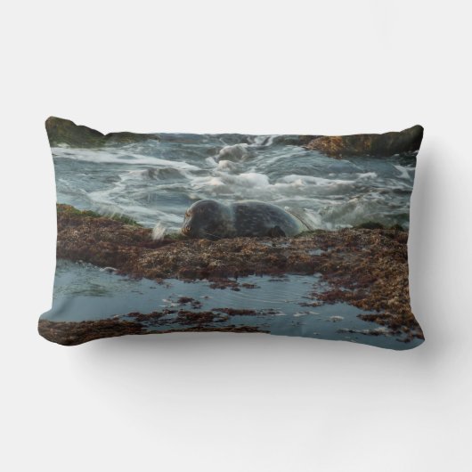 サンセットライトハーバーシールIアットサンディエゴ ランバークッション (正面)