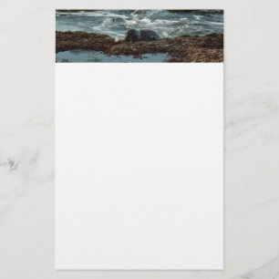 サンセットライトハーバーシールIアットサンディエゴ 便箋