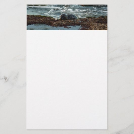 サンセットライトハーバーシールIアットサンディエゴ 便箋 (正面)