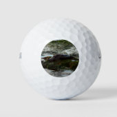 サンセットライトハーバーシールIIアットサンディエゴ ゴルフボール (正面)