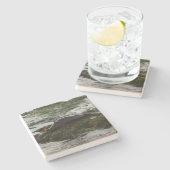 サンセットライトハーバーシールIIアットサンディエゴ ストーンコースター (横)