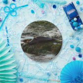 サンセットライトハーバーシールIIアットサンディエゴ ペーパープレート (パーティー)