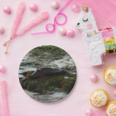 サンセットライトハーバーシールIIアットサンディエゴ ペーパープレート (パーティー)