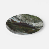 サンセットライトハーバーシールIIアットサンディエゴ ペーパープレート (アングル)