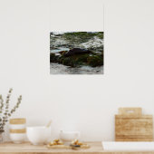 サンセットライトハーバーシールIIアットサンディエゴ ポスター (キッチン)