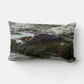 サンセットライトハーバーシールIIアットサンディエゴ ランバークッション (裏面)