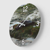 サンセットライトハーバーシールIIアットサンディエゴ ラージ壁時計 (傾斜)