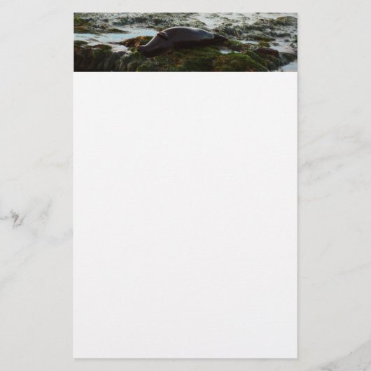 サンセットライトハーバーシールIIアットサンディエゴ 便箋 (正面)