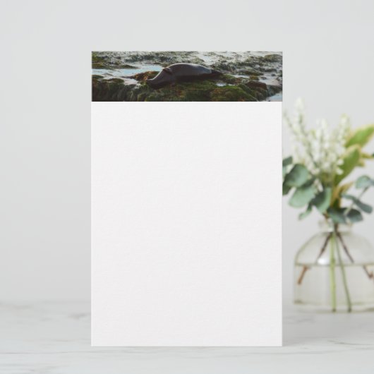 サンセットライトハーバーシールIIアットサンディエゴ 便箋 (スタンド正面)