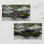 サンセットライトハーバーシールIIアットサンディエゴ 名刺 (正面/裏面)