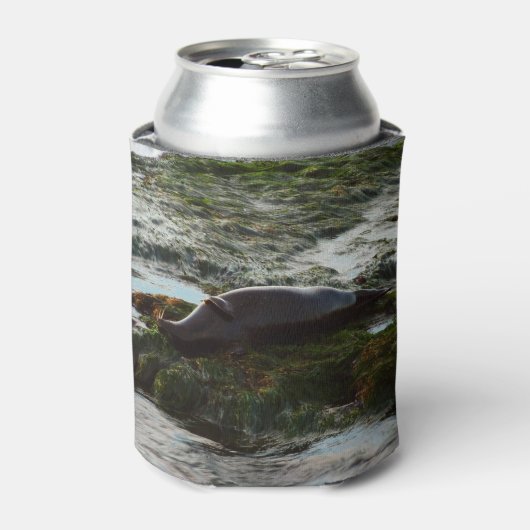 サンセットライトハーバーシールIIアットサンディエゴ 缶クーラー (缶正面)