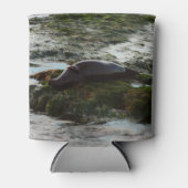 サンセットライトハーバーシールIIアットサンディエゴ 缶クーラー (正面)