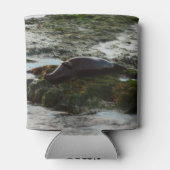 サンセットライトハーバーシールIIアットサンディエゴ 缶クーラー (裏面)