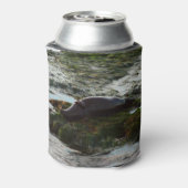 サンセットライトハーバーシールIIアットサンディエゴ 缶クーラー (缶裏面)