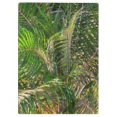 サンセットライトパームフロントトロピカル クリップボード (裏面)