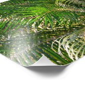 サンセットライトパームフロントトロピカル フォトプリント (角)