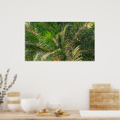 サンセットライトパームフロントトロピカル ポスター (キッチン)