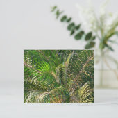 サンセットライトパームフロントトロピカル ポストカード (スタンド正面)