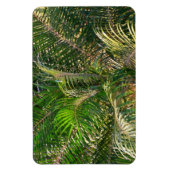 サンセットライトパームフロントトロピカル マグネット (縦)