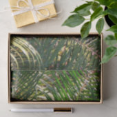 サンセットライトパームフロントトロピカル 薄葉紙 (ギフト)