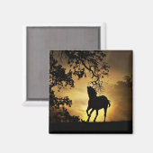 サンセットランニングマグネットに美しい木馬 マグネット (正面/裏面)