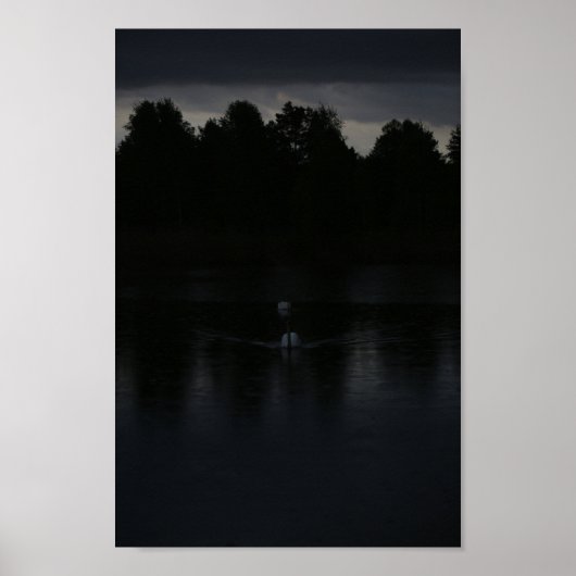 サンセットレイクレインスワンス自然景観 ポスター (正面)