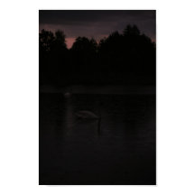 サンセットレイクレインスワンス自然景観