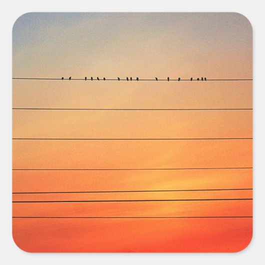 サンセットローストファインアート写真 スクエアシール (正面)