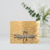 サンセット写真で白鳥のカップルに会う ポストカード (スタンド正面)