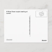 サンセット写真で白鳥のカップルに会う ポストカード (裏面)