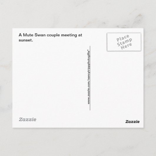 サンセット写真で白鳥のカップルに会う ポストカード (裏面)