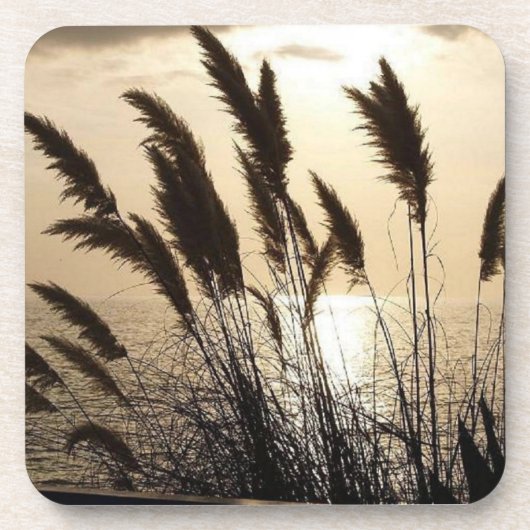 サンセット懸命プラスチックコースター – 6のセット コースター (正面)