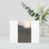 サンセット牛 ポストカード (スタンド正面)