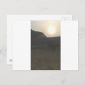 サンセット牛 ポストカード (正面/裏面)