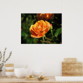 サンセット王室のハイブリッドティーバラ016 ポスター (キッチン)