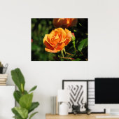 サンセット王室のハイブリッドティーバラ016 ポスター (ホームオフィス)