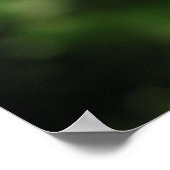 サンセット王室のハイブリッドティーバラ016 ポスター (角)