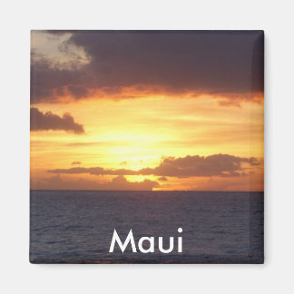 サンセット磁石 マグネット