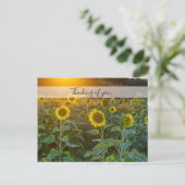 サンセット考えるAtひまわり畑 ポストカード (スタンド正面)