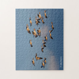 サンセット飛行でスノーゲーゼ ジグソーパズル