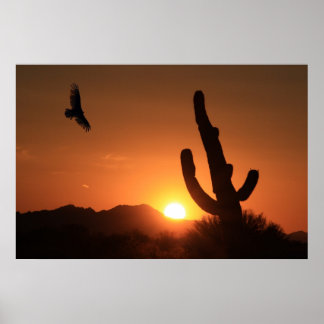 サンセット飛行 ポスター