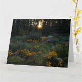 サンセット9月中旬ガーデン カード (黄色い花)