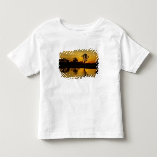 サンセット、イエローウォータービラボン トドラーTシャツ (正面)